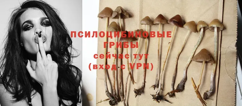 ссылка на мегу как войти  Бирск  Галлюциногенные грибы MAGIC MUSHROOMS 